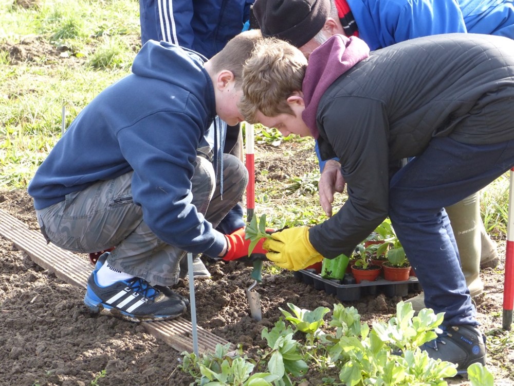 boys planting vegetables